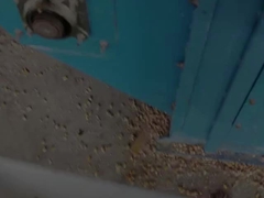 Fábrica de secadores de milho