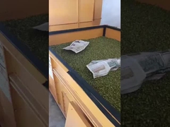 Secador de ventilação de tipo presun bed