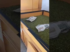 Máquina de secagem horizontal de cereais, feijão e amendoim, de ventilação