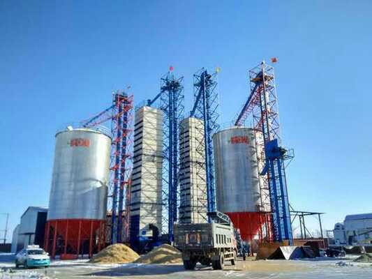 Bom preço calor 200tpd que recicla o moinho de arroz Paddy Dryer Direct Storage cru on-line