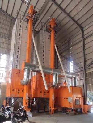 Bom preço 15 toneladas de automatização completa Paddy Dryer cru cozinhado contínuo on-line