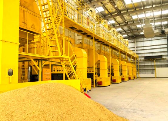 Bom preço 100 de grão toneladas de secador do milho fazem à máquina toda a secagem dos sentidos on-line